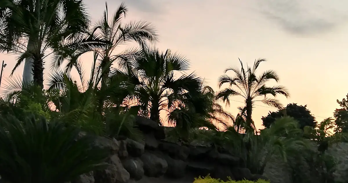 Heliconias, Jardín de Eventos